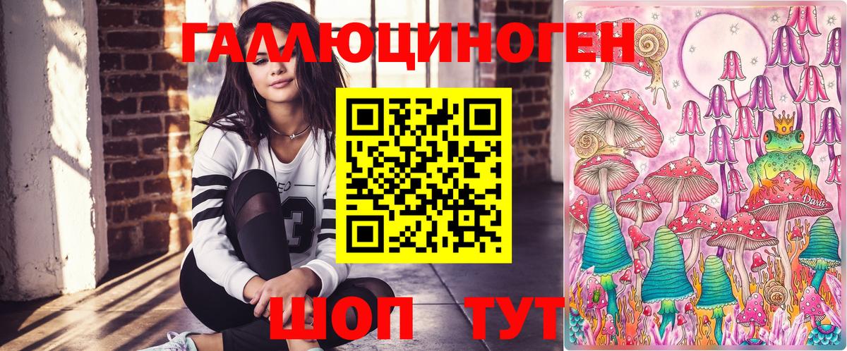 Юрга  Псилоцибиновые грибы Psilocybine cubensis  Вход с VPN 