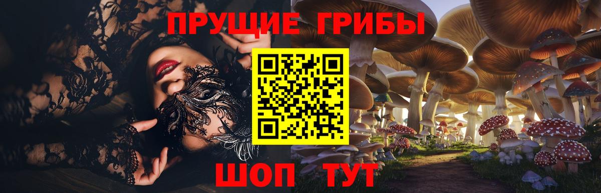 Галлюциногенные грибы Psilocybe Юрга